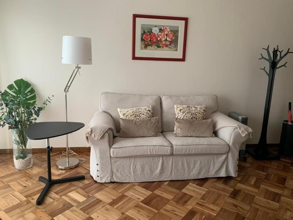 Garden Apartment, Great For Couple - Ponta Delgada Eksteriør billede