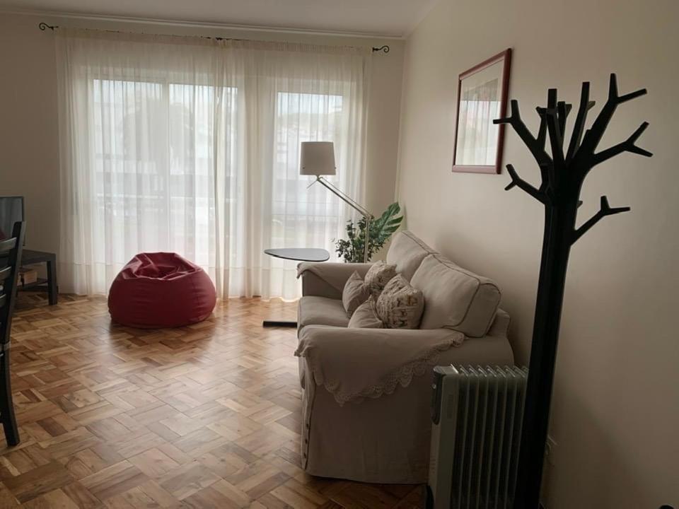 Garden Apartment, Great For Couple - Ponta Delgada Eksteriør billede