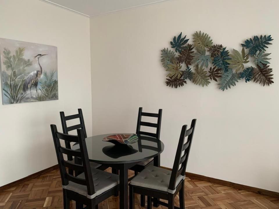 Garden Apartment, Great For Couple - Ponta Delgada Eksteriør billede