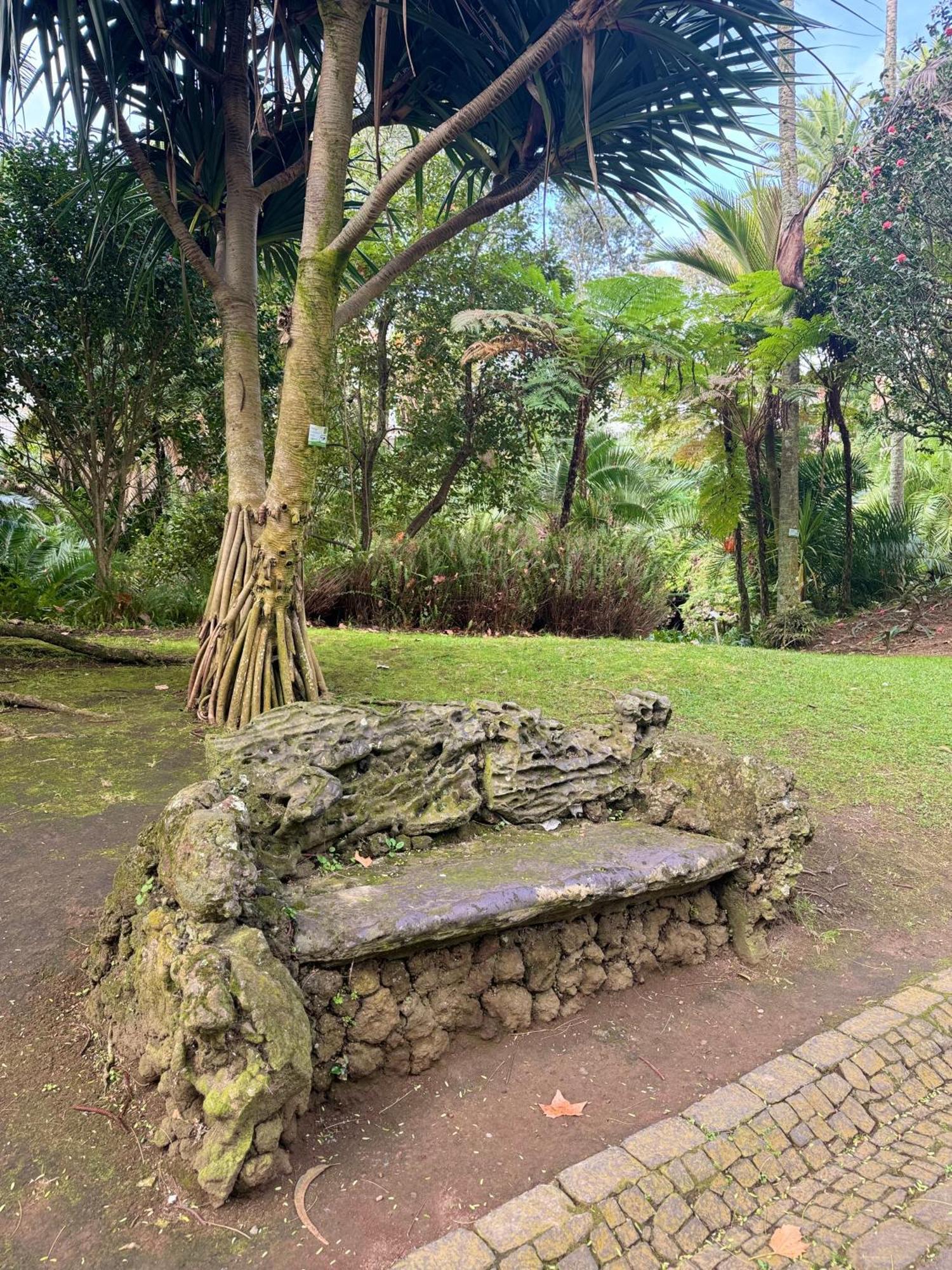 Garden Apartment, Great For Couple - Ponta Delgada Eksteriør billede